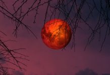 Večeras potpuna pomrčina Mjeseca