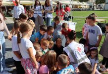 Crveni križ Nova Gradiška obilježio Svjetski dan prve pomoći