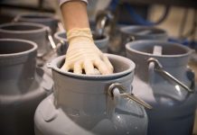 MIP: Povećana proizvodnja mlijeka na obiteljskim poljoprivrednim gospodarstvima u 2024. godini