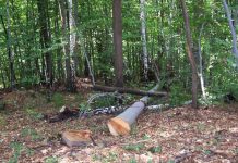 Poginuo na radnom mjestu u šumi kod Rešetara