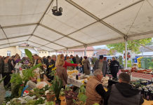 „Sačuvajmo stare sorte Cernik 2025.“: Tradicija, znanje i okusi djetinjstva na jednom mjestu