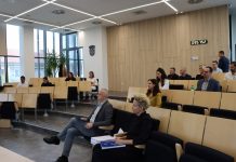 Što su pitali vijećnici: Nedostatak pedijatra, zabrana prometa u pješačkoj zoni, Mala, farma svinja…