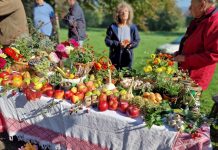 U subotu Dani Cerničkog Portugisca i izložba plodova i prerađevina starih sorti voća i povrća