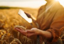 Mladim poljoprivrednicima dostavljeni ugovori za intervenciju 75.01 u vrijednosti od 2,7 milijuna eura