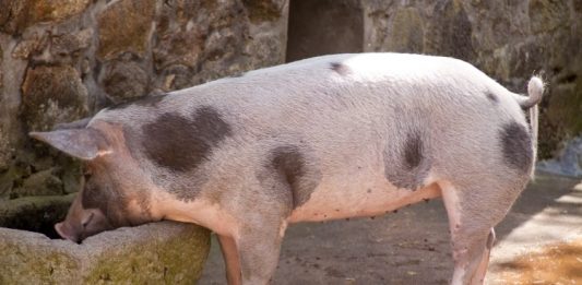 Novo Rješenje o zonama ograničenja I i III