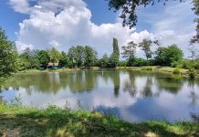 ŠRU Klen organizira Šaranijadu na jezeru Orašje u Cerniku