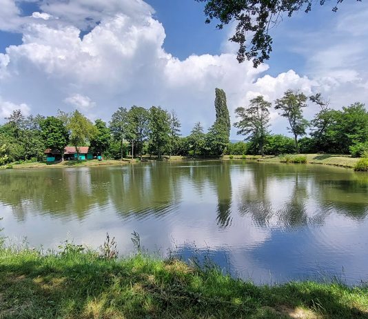 ŠRU Klen organizira Šaranijadu na jezeru Orašje u Cerniku