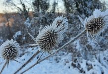 Kalendarko HPD-a Strmac 2025: 12 priča u kadru i jedna koja je sve osvojila