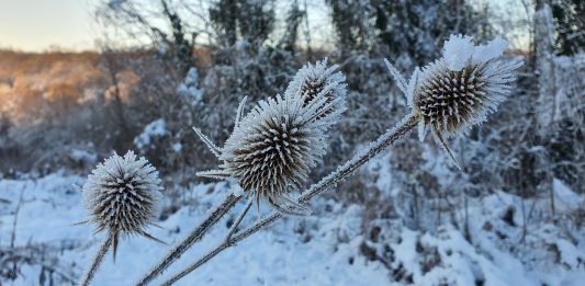 Kalendarko HPD-a Strmac 2025: 12 priča u kadru i jedna koja je sve osvojila
