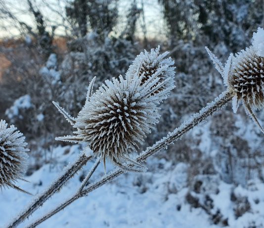 Kalendarko HPD-a Strmac 2025: 12 priča u kadru i jedna koja je sve osvojila