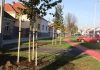 Nova Gradiška: nastavak uređenja i sadnje novih stabala u Gajevoj ulici