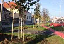 Nova Gradiška: nastavak uređenja i sadnje novih stabala u Gajevoj ulici
