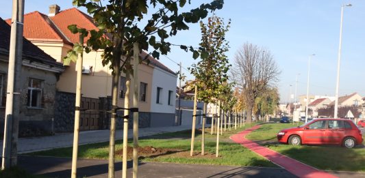 Nova Gradiška: nastavak uređenja i sadnje novih stabala u Gajevoj ulici