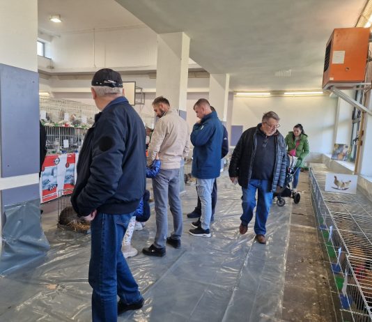 Izložba malih životinja u Novoj Gradiški privukla veliki broj posjetitelja i izlagača s preko 700 eksponata