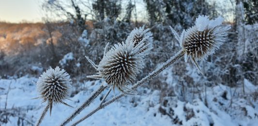 Kamo s djecom tijekom praznika: Prirodne i edukativne destinacije oko Nove Gradiške