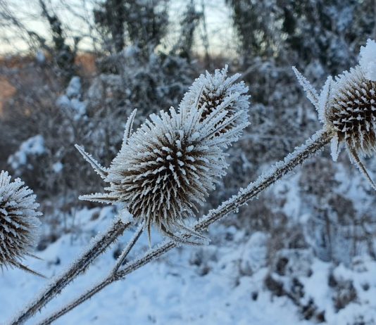 Kamo s djecom tijekom praznika: Prirodne i edukativne destinacije oko Nove Gradiške