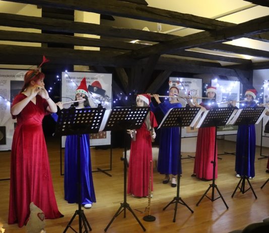 Gradski muzej Nova Gradiška poziva na koncert “Čarobni zvuci Božića 5”