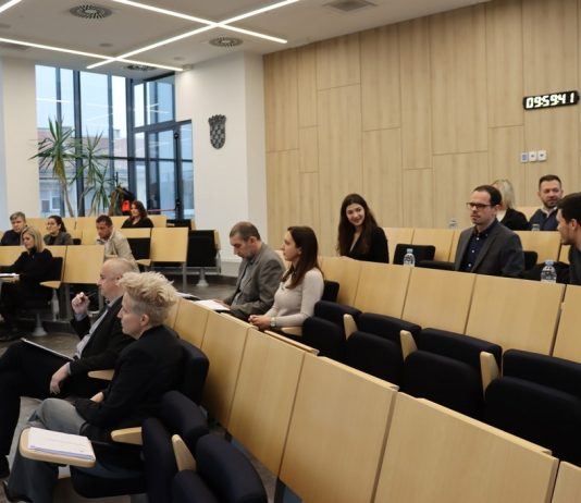 “Aktualac” Gradskog vijeća: Poskupljenje odvoza komunalnog otpada, farma svinja, uređenje cesta, tko će dobiti gradska priznanja