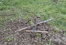 Tko je posjekao mlade sadnice u parkovima u Rešetarima?!