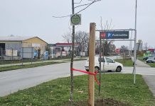 Zasađene 84 sadnice u sklopu projekta „Hrvatska prirodno tvoja“