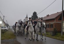 Ove subote: kad zapjevaju tambure i zazvecka potkova – 7. Pokladno jahanje u Dragaliću