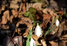 Veljača “prevrtača”: Kakvo nam vrijeme donosi početak veljače