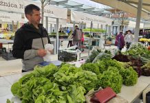 Novogradiška tržnica: Mjesto domaće ponude i dobrih okusa