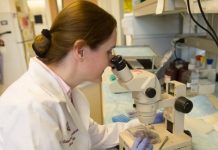 Donosimo priču o novogradiškoj znanstvenici koja živi i radi u SAD-u, Sandri Oršulić