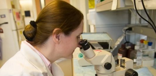 Donosimo priču o novogradiškoj znanstvenici koja živi i radi u SAD-u, Sandri Oršulić