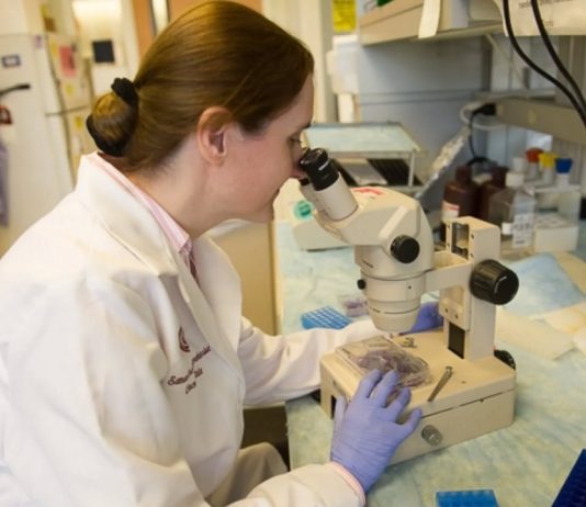 Donosimo priču o novogradiškoj znanstvenici koja živi i radi u SAD-u, Sandri Oršulić