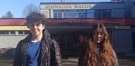 Velik uspjeh učenika OŠ Mato Lovrak: Bruno Janković prvi u županiji