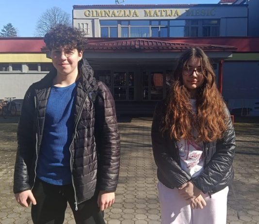 Velik uspjeh učenika OŠ Mato Lovrak: Bruno Janković prvi u županiji