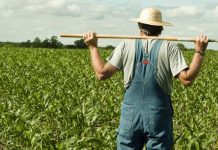 Traži se najbolji hrvatski mladi poljoprivrednik 2026.