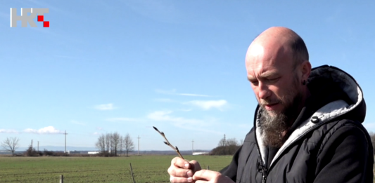 Mladi voćar Josip Perković iz Nove Gradiške skuplja stare sorte i sadi voćnjak za obitelj