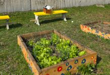 Prekrasne fotografije iz Ljupine razveselile Udrugu volontera Nova Gradiška