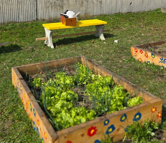 Prekrasne fotografije iz Ljupine razveselile Udrugu volontera Nova Gradiška